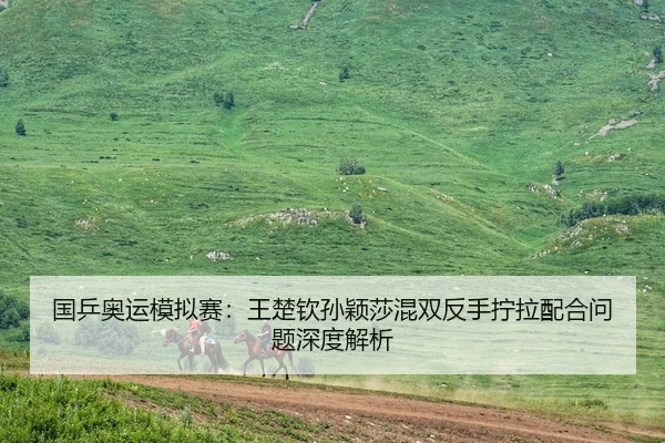 国乒奥运模拟赛：王楚钦孙颖莎混双反手拧拉配合问题深度解析