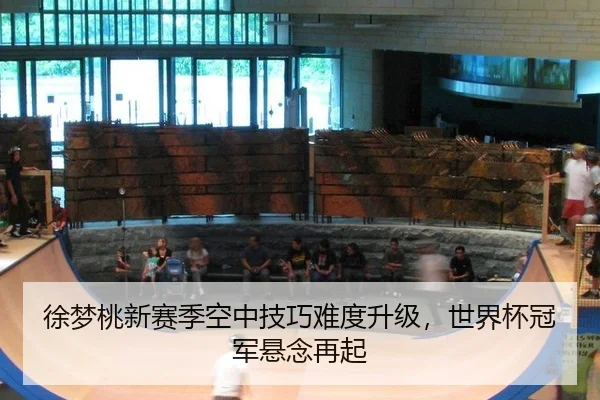 xu-meng-tao-xin-sai-ji-kong-zhong-ji-qiao-nan-du-sheng-ji-shi-jie-bei-guan-jun-xuan-nian-zai-qi-3-399.jpg