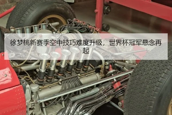 徐梦桃新赛季空中技巧难度升级，世界杯冠军悬念再起