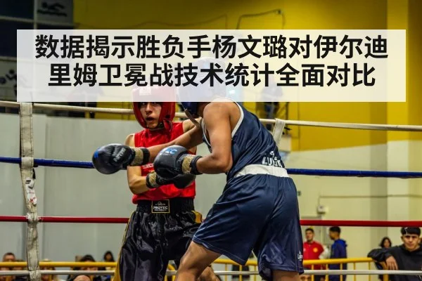 数据揭示胜负手杨文璐对伊尔迪里姆卫冕战技术统计全面对比