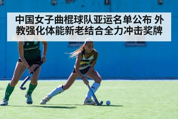 field hockey match action